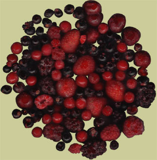 Bild erfrorenes Obst