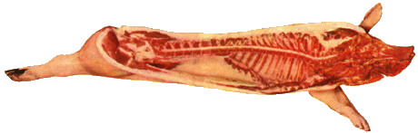 Bild Fleisch